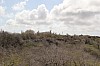9750.jpg 9750.jpg