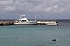 9783.jpg 9783.jpg