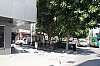 1450.jpg 1450.jpg