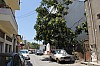 1740.jpg 1740.jpg