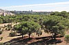 3736.jpg 3736.jpg