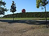 3776.jpg 3776.jpg