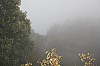 4150.jpg 4150.jpg
