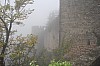 4151.jpg 4151.jpg