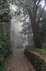 4167.jpg 4167.jpg