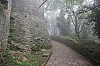 4199.jpg 4199.jpg
