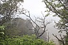 4204.jpg 4204.jpg