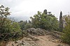 4218.jpg 4218.jpg