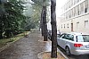 4243.jpg 4243.jpg