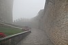 4337.jpg 4337.jpg