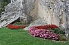 4462.jpg 4462.jpg