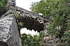 4482.jpg 4482.jpg