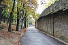 4483.jpg 4483.jpg