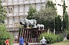 4594.jpg 4594.jpg