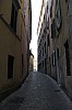 4625.jpg 4625.jpg