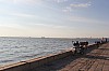 4732.jpg 4732.jpg