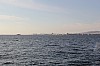 4749.jpg 4749.jpg