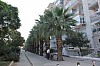 4830.jpg 4830.jpg