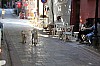 4846.jpg 4846.jpg