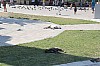 4884.jpg 4884.jpg