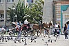 4885.jpg 4885.jpg