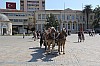 4893.jpg 4893.jpg