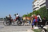 4902.jpg 4902.jpg