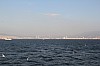 5118.jpg 5118.jpg