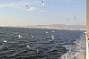 5127.jpg 5127.jpg