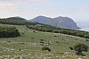 5219.jpg 5219.jpg
