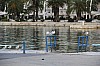 6853.jpg 6853.jpg