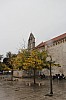 6541.jpg 6541.jpg