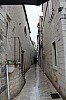 6590.jpg 6590.jpg