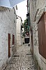 6603.jpg 6603.jpg