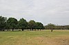 6941.jpg 6941.jpg