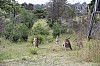 7001.jpg 7001.jpg
