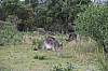 7039.jpg 7039.jpg