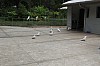 7079.jpg 7079.jpg