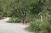 7131.jpg 7131.jpg