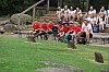 7216.jpg 7216.jpg