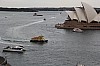8017.jpg 8017.jpg