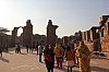 8137.jpg 8137.jpg