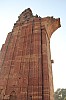 8146.jpg 8146.jpg
