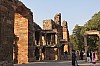 8155.jpg 8155.jpg
