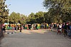 8176.jpg 8176.jpg
