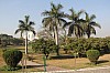 8196.jpg 8196.jpg