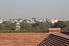 8215.jpg 8215.jpg