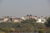 8225.jpg 8225.jpg