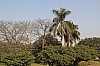 8229.jpg 8229.jpg