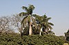 8236.jpg 8236.jpg